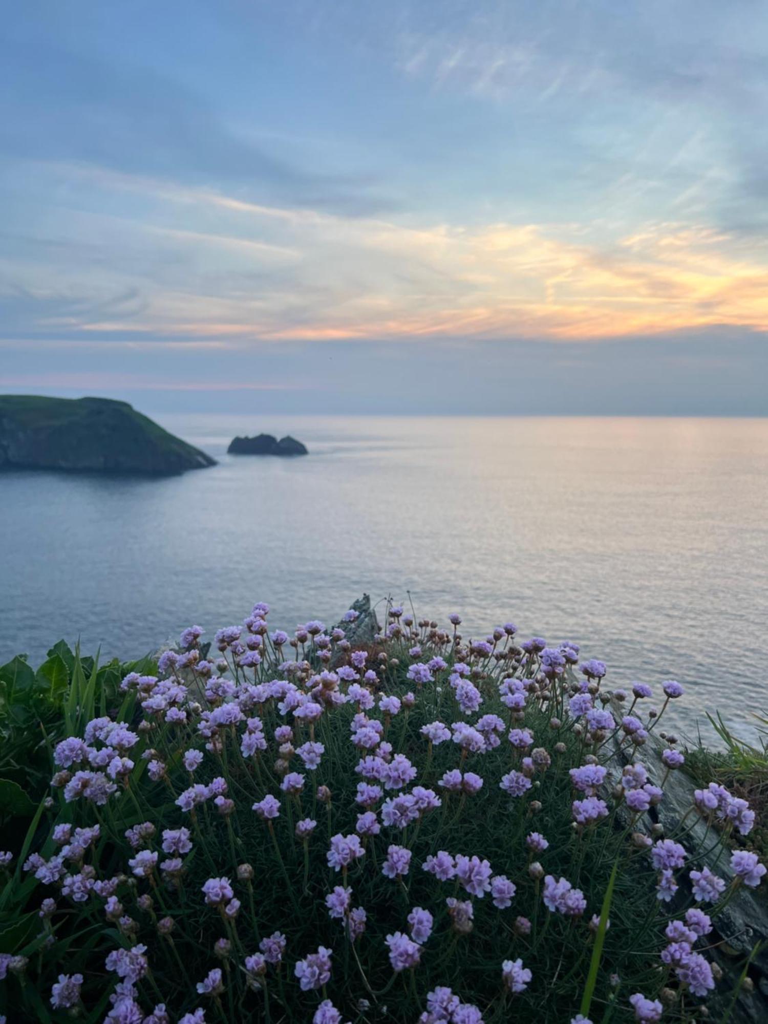 Courtyard Farm Cottages Boscastle Exterior photo
