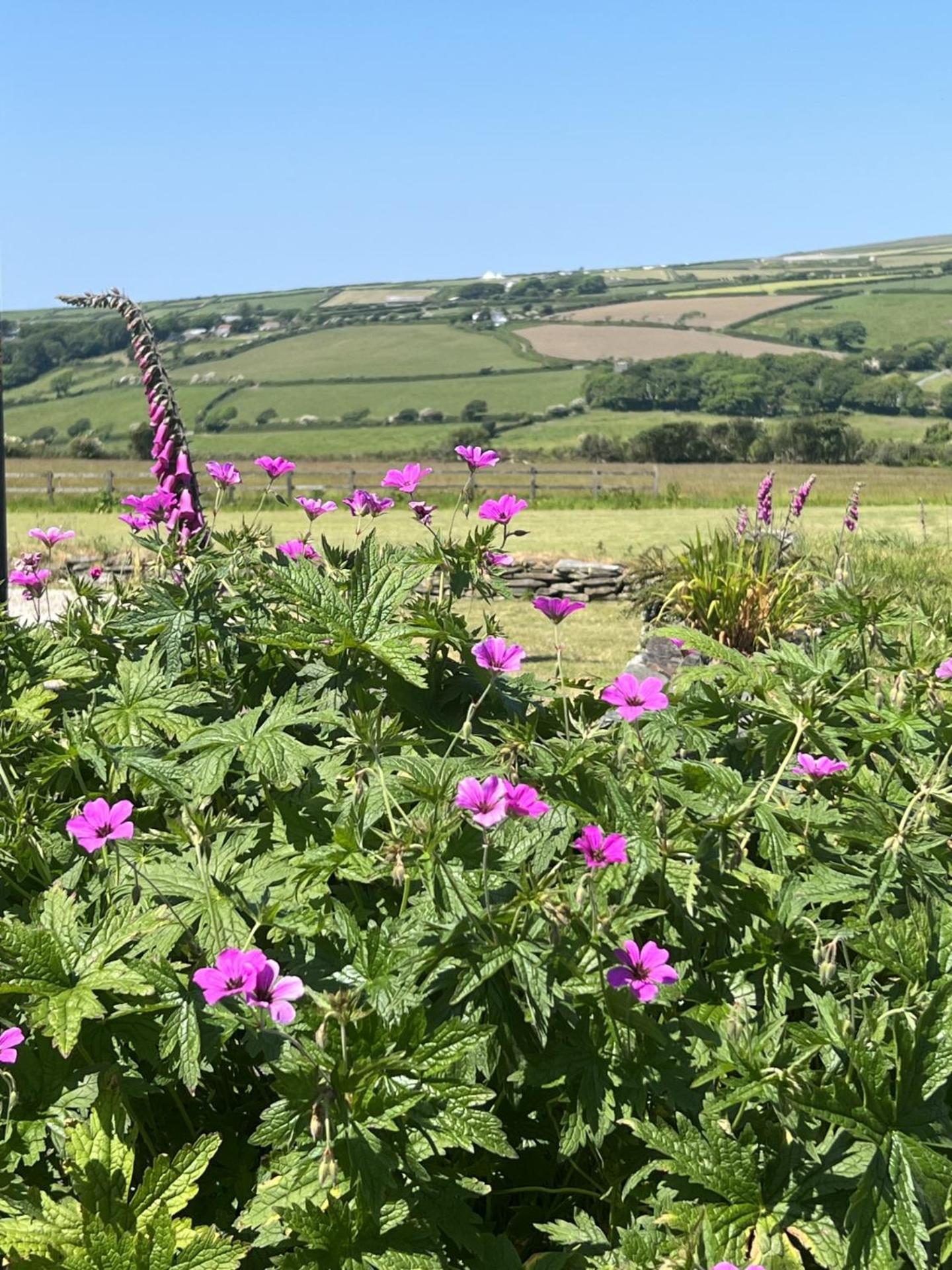 Courtyard Farm Cottages Boscastle Exterior photo