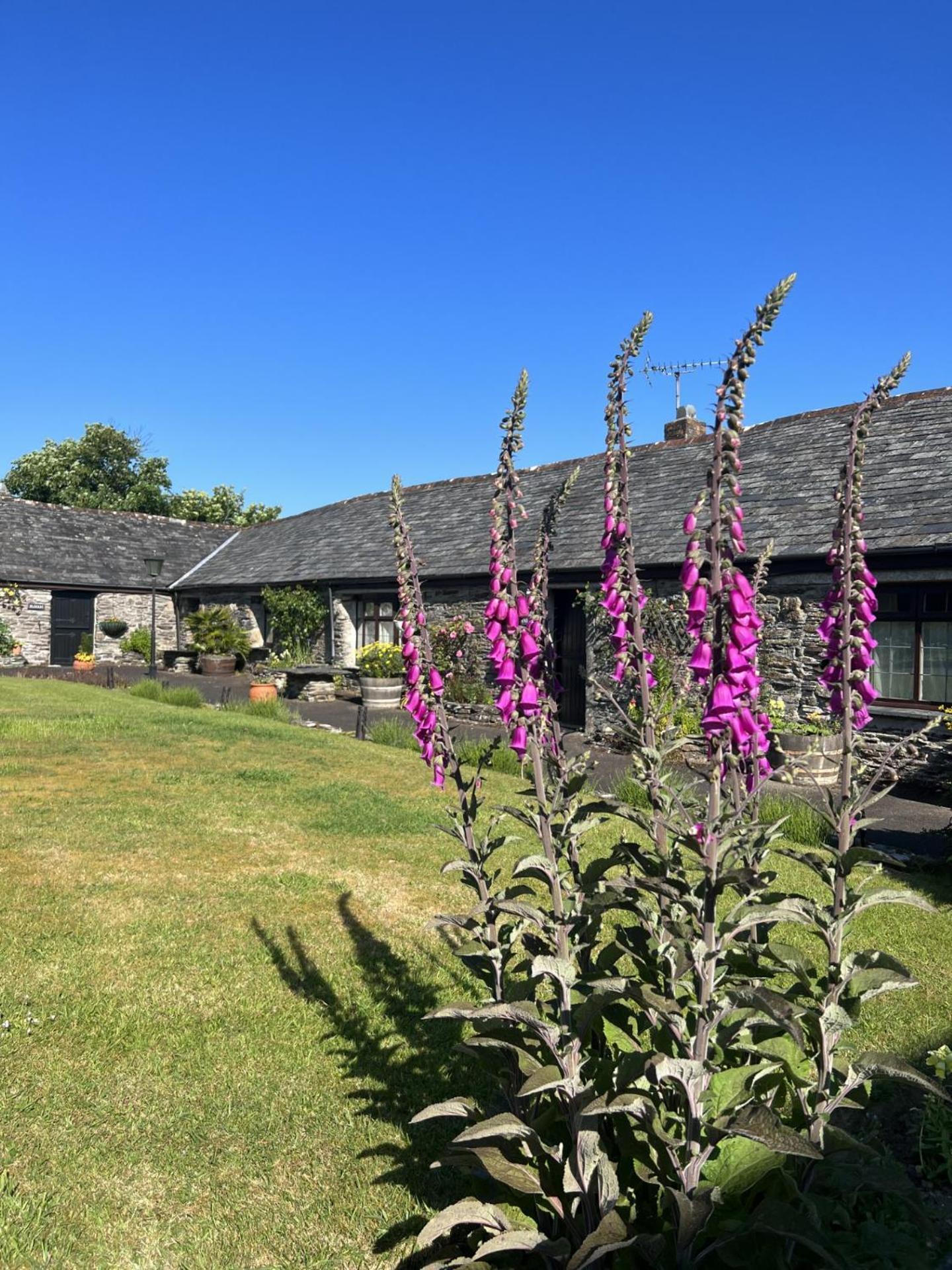 Courtyard Farm Cottages Boscastle Exterior photo