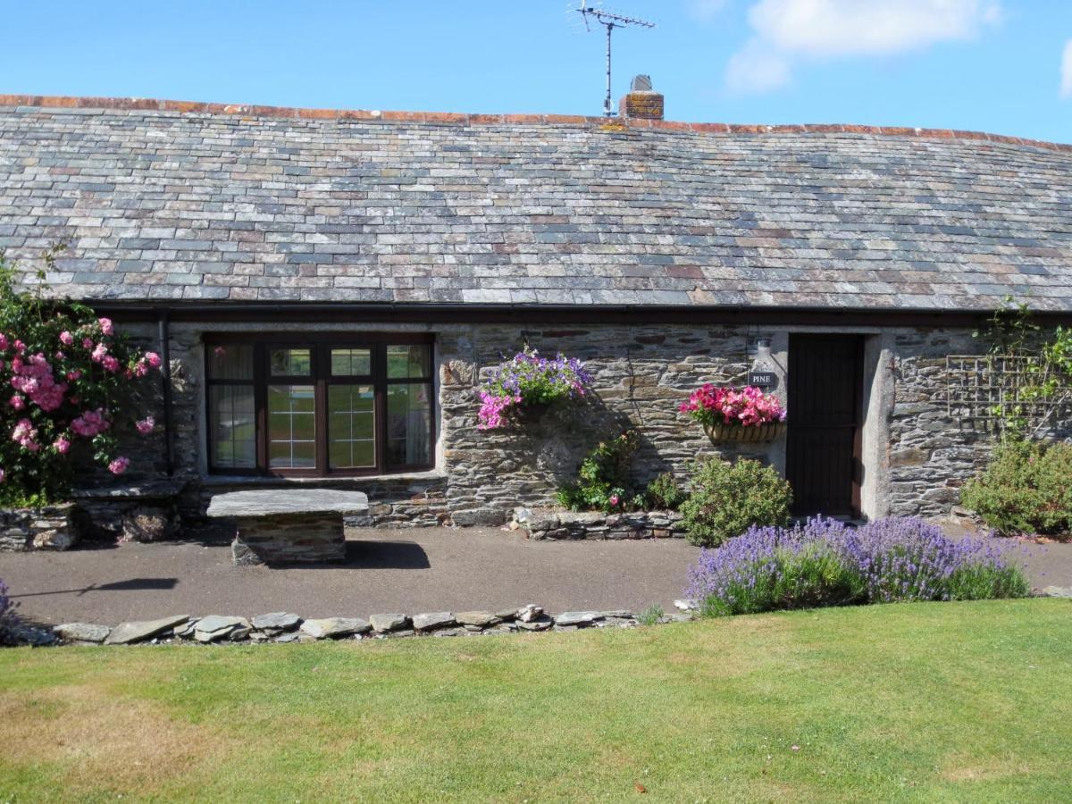 Courtyard Farm Cottages Boscastle Exterior photo